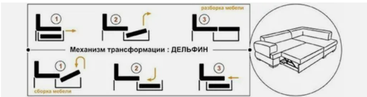 дельфин.png
