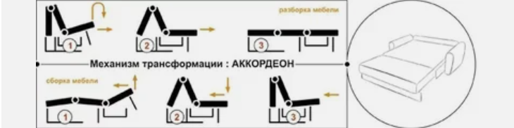 аккордеон.png