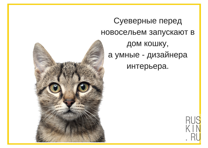 Дизайн-юмор