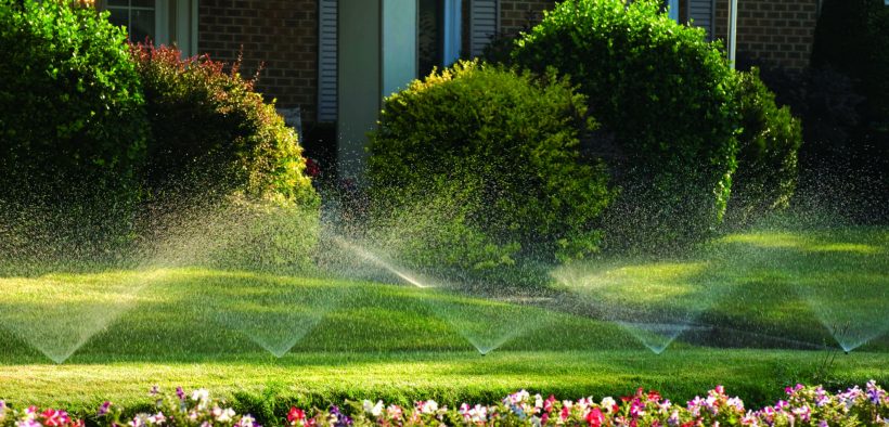 sprinkle-820x394.jpg sprinkle-820x394.jpg