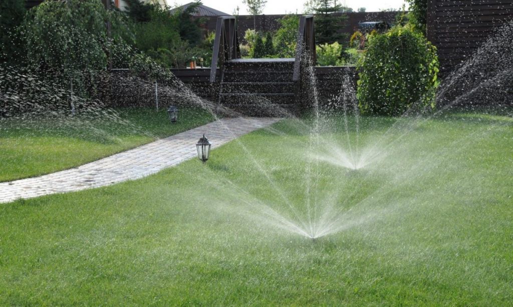 1620164471_20-p-avtopoliv-gazona-na-uchastke-21.jpg 1620164471_20-p-avtopoliv-gazona-na-uchastke-21.jpg