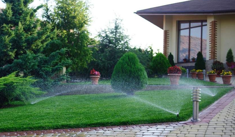 автополив садового участка.jpg автополив садового участка.jpg